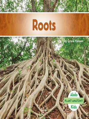 cover image of Roots